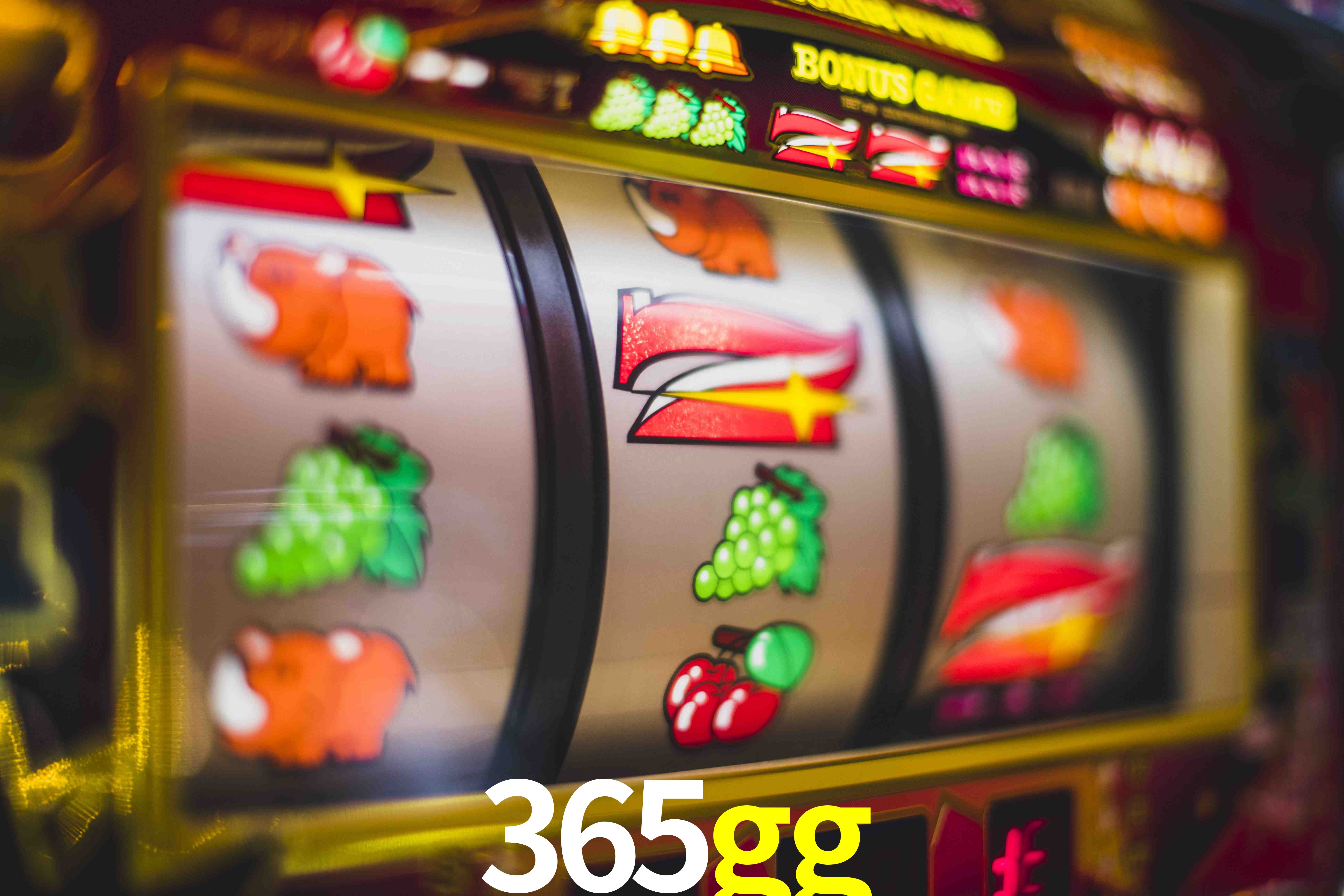 Sports Statistics 365gg